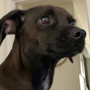 Meet your Posher, Mike